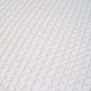 nen-300×300